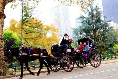 Central Park Horse Carriage Ride (Short Loop)