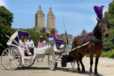 NYC Central Park Horse and Carriage Ride: Long Ride 45 min