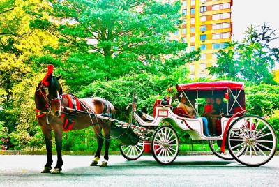 Central Park Express Horse Carriage Ride with Photo Stop (45 min)