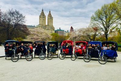 Central Park Private Pedicab Tour Central Park Private Pedicab Tour