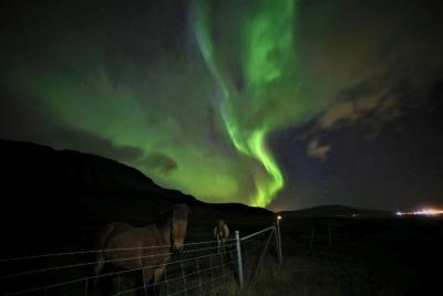 Northen Light tour on ATV/Quad Northen Light tour on ATV/Quad