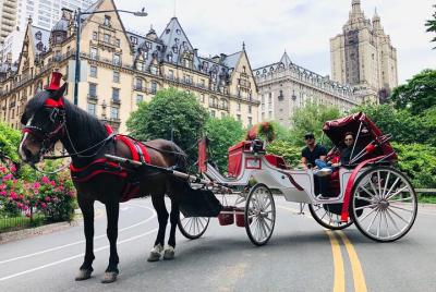 Horse & Carriage Ride through Central Park, VIP Tour with photo   Horse & Carriage Ride through Central Park, VIP Tour with photo