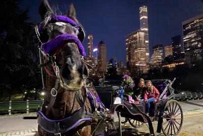 NYC Central Park&Rockefeller Center&Times Square Horse Carriage Private Tour