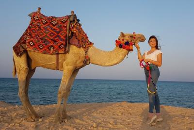 Two Hours camel Riding An unforgettable adventure - Sharm El Shei