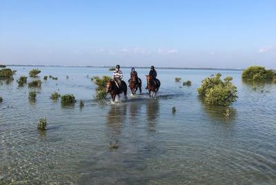 Mangroves ride Mangroves ride