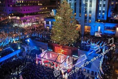 **JAPANESE GUIDED TOUR**
Deluxe New York Christmas Illumination T **JAPANESE GUIDED TOUR**
Deluxe New York Christmas Illumination T