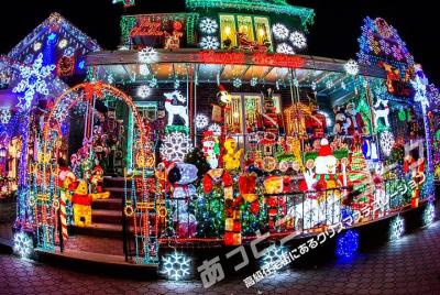 **JAPANESE GUIDED TOUR**
Deluxe New York Christmas Illumination T **JAPANESE GUIDED TOUR**
Deluxe New York Christmas Illumination T