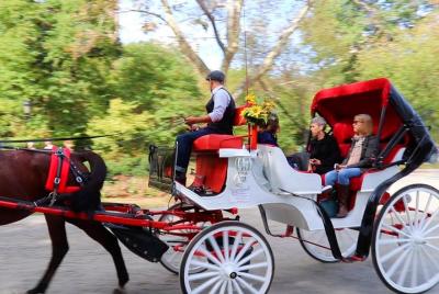 Standard Central Park Horse Carriage Ride (Long Loop - 45 Minutes Standard Central Park Horse Carriage Ride (Long Loop - 45 Minutes