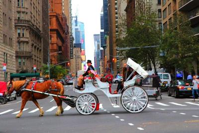 NYC Horse Carriage Ride in Central Park (50 Minutes - Photo Stops NYC Horse Carriage Ride in Central Park (50 Minutes - Photo Stops