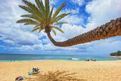 North Shore Sightseeing Experience