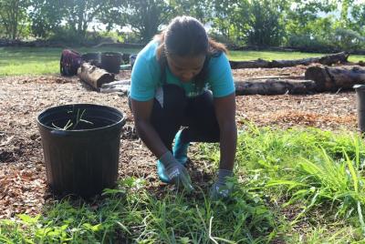 Menehune Enterprises Farm & River Adventure Voluntour (travel2change)
