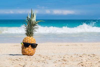 Full-Day Grand Oahu Circle Island Tour with Snorkeling Full-Day Grand Oahu Circle Island Tour with Snorkeling