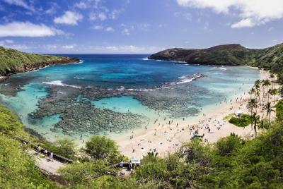 Sights & Bites Island Tour