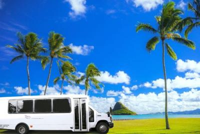 Oahu 1-Day Island Tour