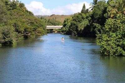 Menehune Enterprises (Ko Olina) Semi-Private North Shore Eco Immersion Tour