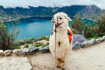Quilotoa Tour Full Day With Lunch Quilotoa Tour Full Day With Lunch