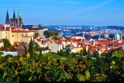 Private Half-Day Walking Tour of Prague's Highlights