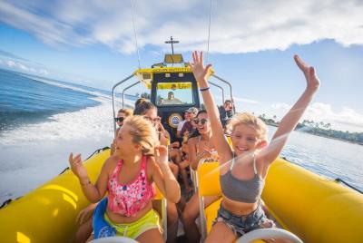1.5 -Hour Guided Marine Life Boat Tour in Oahu