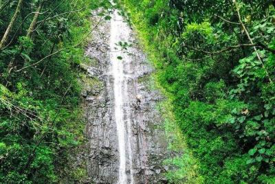 Waterfall Hike and Nature Walk 