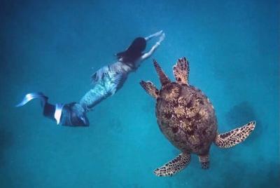 Ala Moana's Marine Life Boat Tour through Waikiki Coast
