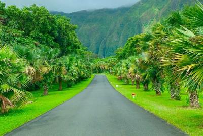 Nature Walk to Botanical garden 