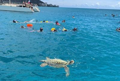 Turtle Snorkeling Adventure (Boat Tour)