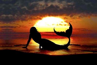 Waimea falls & North Shore Day With - Take A Hike Oahu