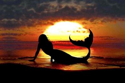 Lalumha falls or Manoa falls hike & Kailua / Lanikai beach day