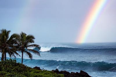 Complete Island Tour & Sunrise Photo Experience 