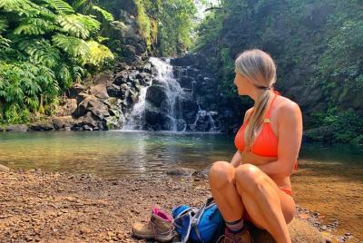 4 Hour Half Day Island Jeep Tour