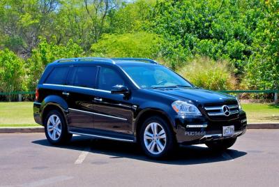 Private Arrival Transfer: Honolulu International Airport to Oahu Hotels or Cruise Terminal