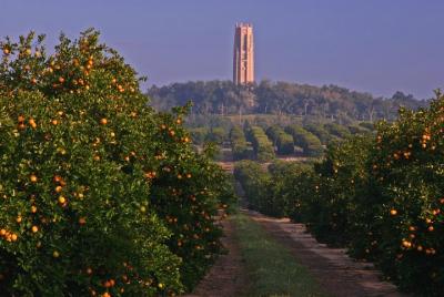 Bok Tower, Citrus, and Solomon Bok Tower, Citrus, and Solomon's Castle Day Private VIP Boutique Day Tour