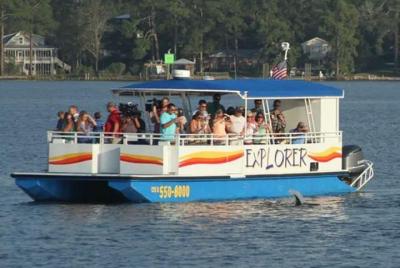 2-Hour Dolphin and Nature Eco Tour from Orange Beach