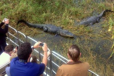 Central Florida Everglades Airboat Tour from Orlando Central Florida Everglades Airboat Tour from Orlando