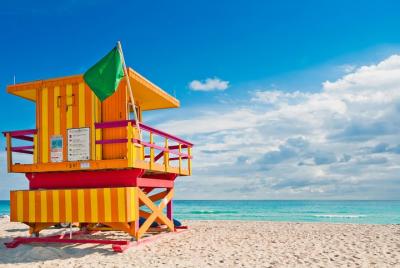 Miami Day Trip with Optional Everglades Airboat Ride or Star Island Cruise Miami Day Trip with Optional Everglades Airboat Ride or Star Island Cruise