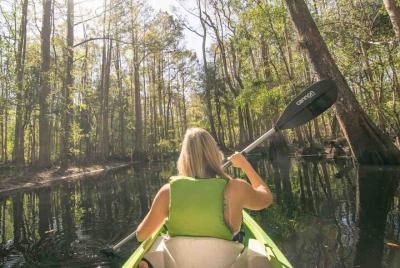 Half-Day Shingle Creek Guided Kayak Tour with Lunch and Roundtrip Transport Half-Day Shingle Creek Guided Kayak Tour with Lunch and Roundtrip Transport