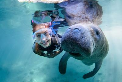 Florida Manatee Adventure, Everglades Style Airboat, Wildlife Park & Transport Florida Manatee Adventure, Everglades Style Airboat, Wildlife Park & Transport
