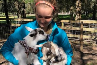 Goat Yoga Experience at S-Farms in Dade City Goat Yoga Experience at S-Farms in Dade City
