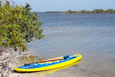 Coastal Wildlife Stand-Up Paddle Adventure Coastal Wildlife Stand-Up Paddle Adventure