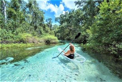 2-Hour Glass Bottom Guided Kayak Eco Tour in Rock Springs (Small-Group) 2-Hour Glass Bottom Guided Kayak Eco Tour in Rock Springs (Small-Group)