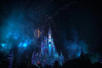 Private Airport Transfer: from Orlando Int. Airport (MCO) to Walt Disney World Private Airport Transfer: from Orlando Int. Airport (MCO) to Walt Disney World