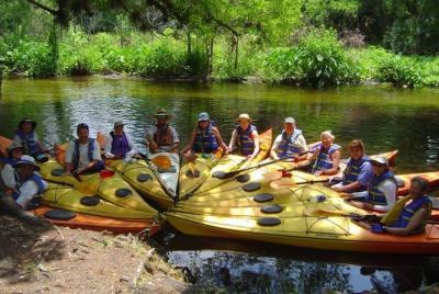 8 Mile Downstream Paddle of Little Wekiva River  8 Mile Downstream Paddle of Little Wekiva River