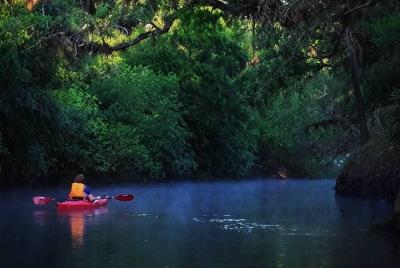 Econlockhatchee River Kayak Tour Econlockhatchee River Kayak Tour