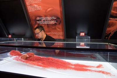 Skip the Line: Human Bodies Admission Ticket