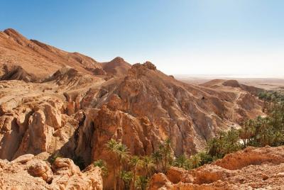 Indian Canyons Walking Tour by Jeep from Palm Springs Indian Canyons Walking Tour by Jeep from Palm Springs