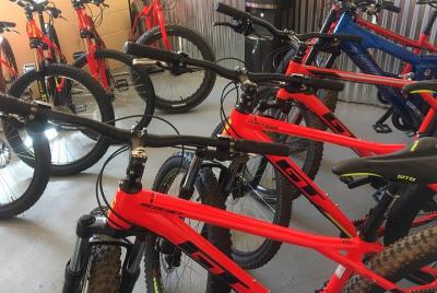 Bike Rentals