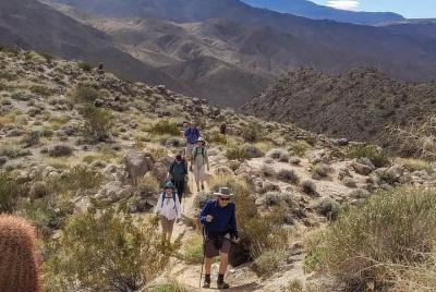 Palm Springs Best Views Half Day Hike with Murray Hill Summit