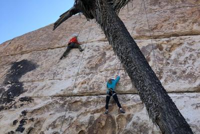 Beginner Group Rock Climbing in Joshua Tree National Park Beginner Group Rock Climbing in Joshua Tree National Park