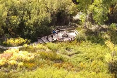 Mojave Desert Oasis Hike