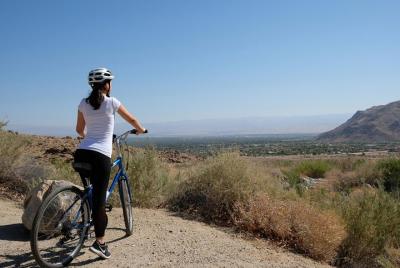 Indian Canyons Bike and Hike Small Group Tour from Palm Springs Indian Canyons Bike and Hike Small Group Tour from Palm Springs